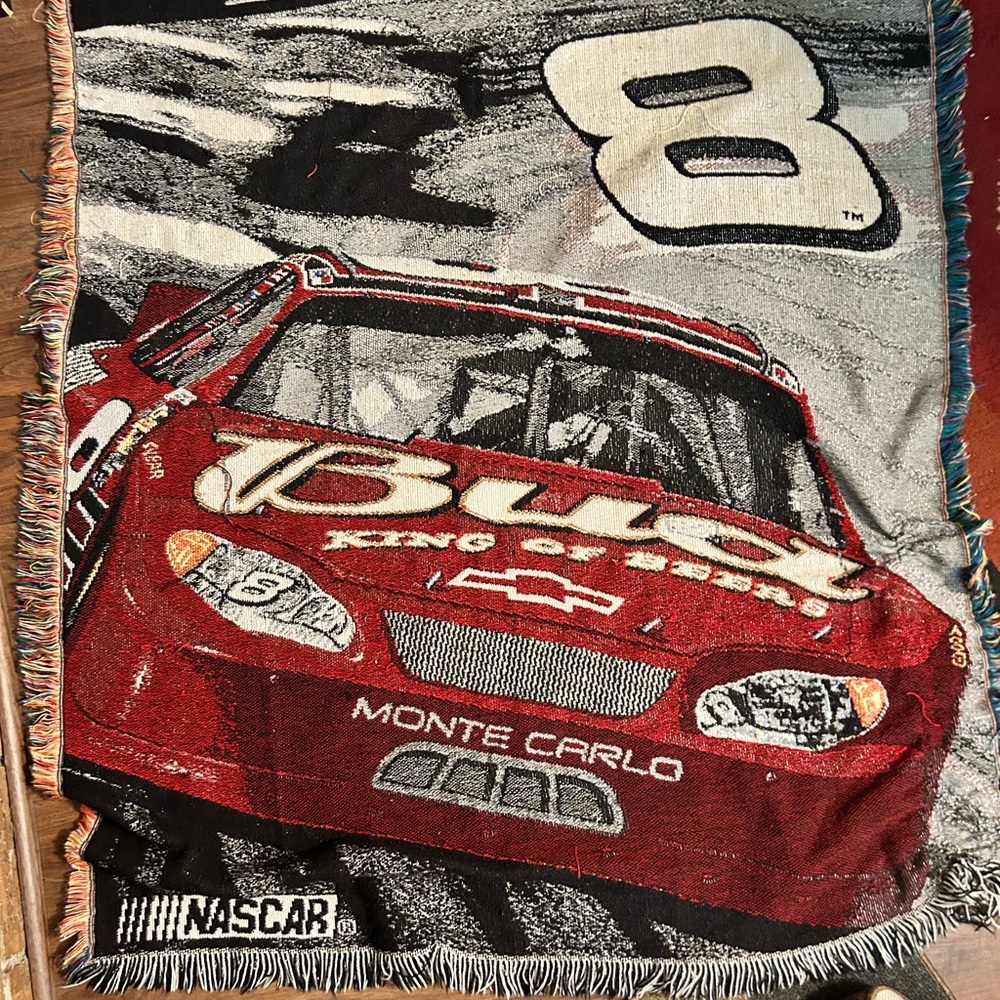 Dale Earnhardt #8 blanket
